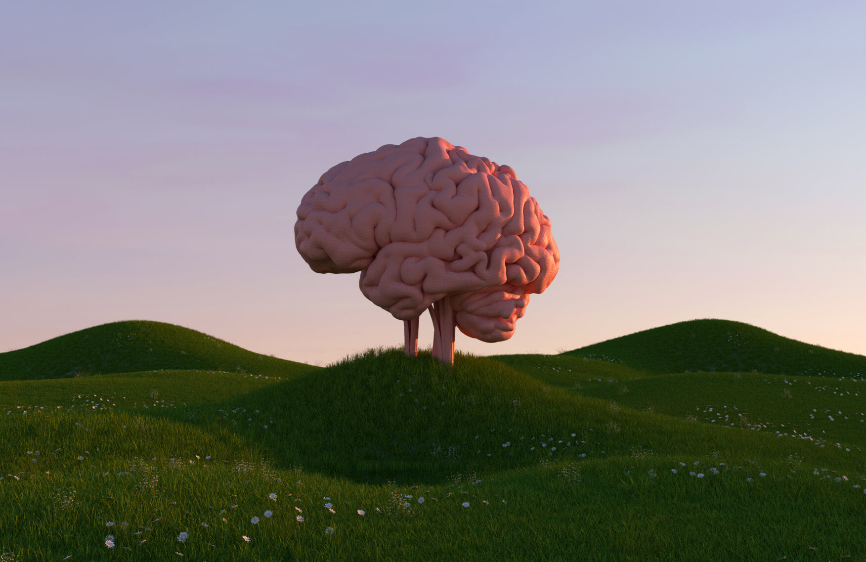 How to build brain resilience for a happier, healthier life