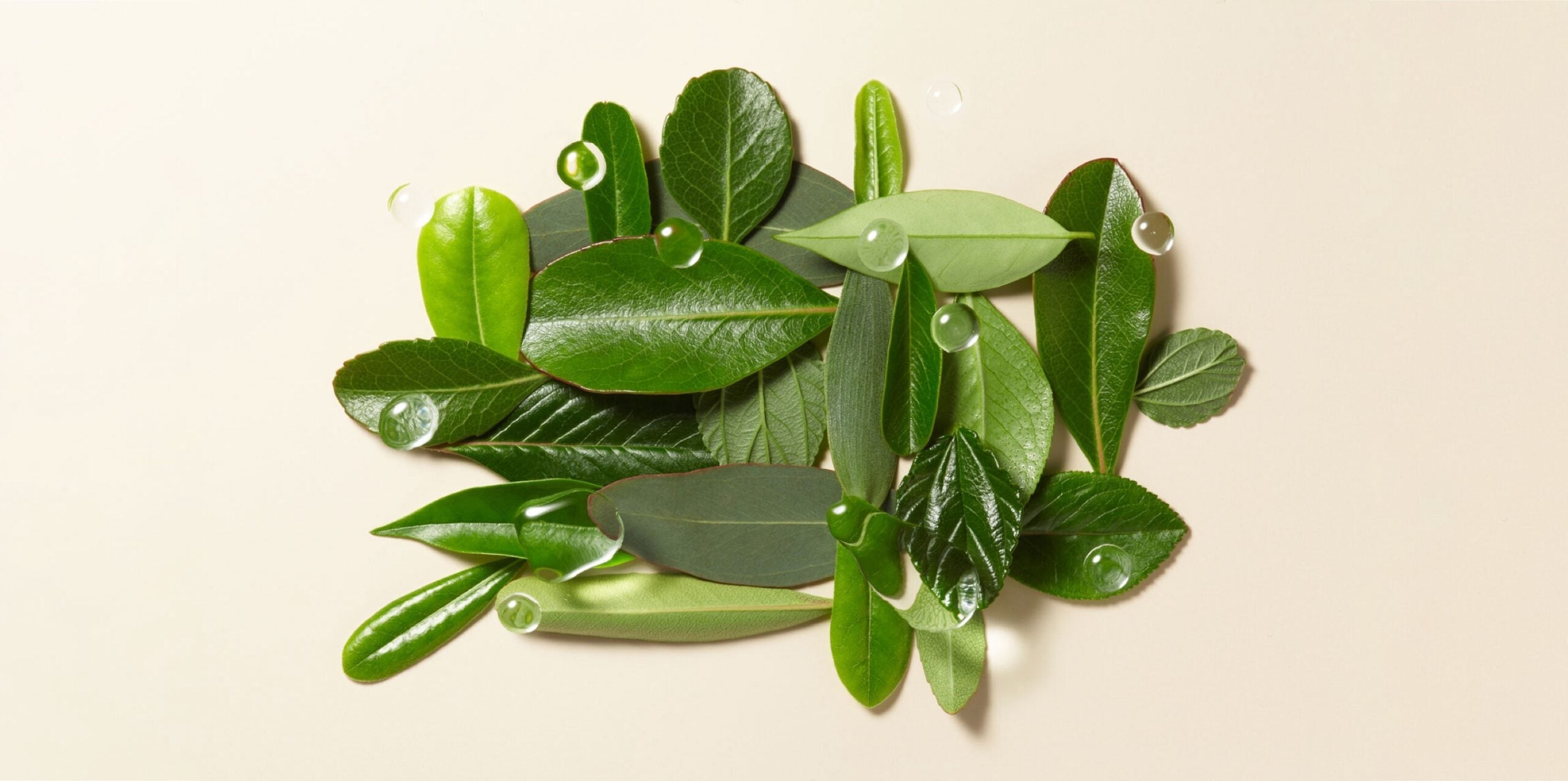 The real deal with chlorophyll water for skin (and why it’s important to fact-check social media skincare trends)