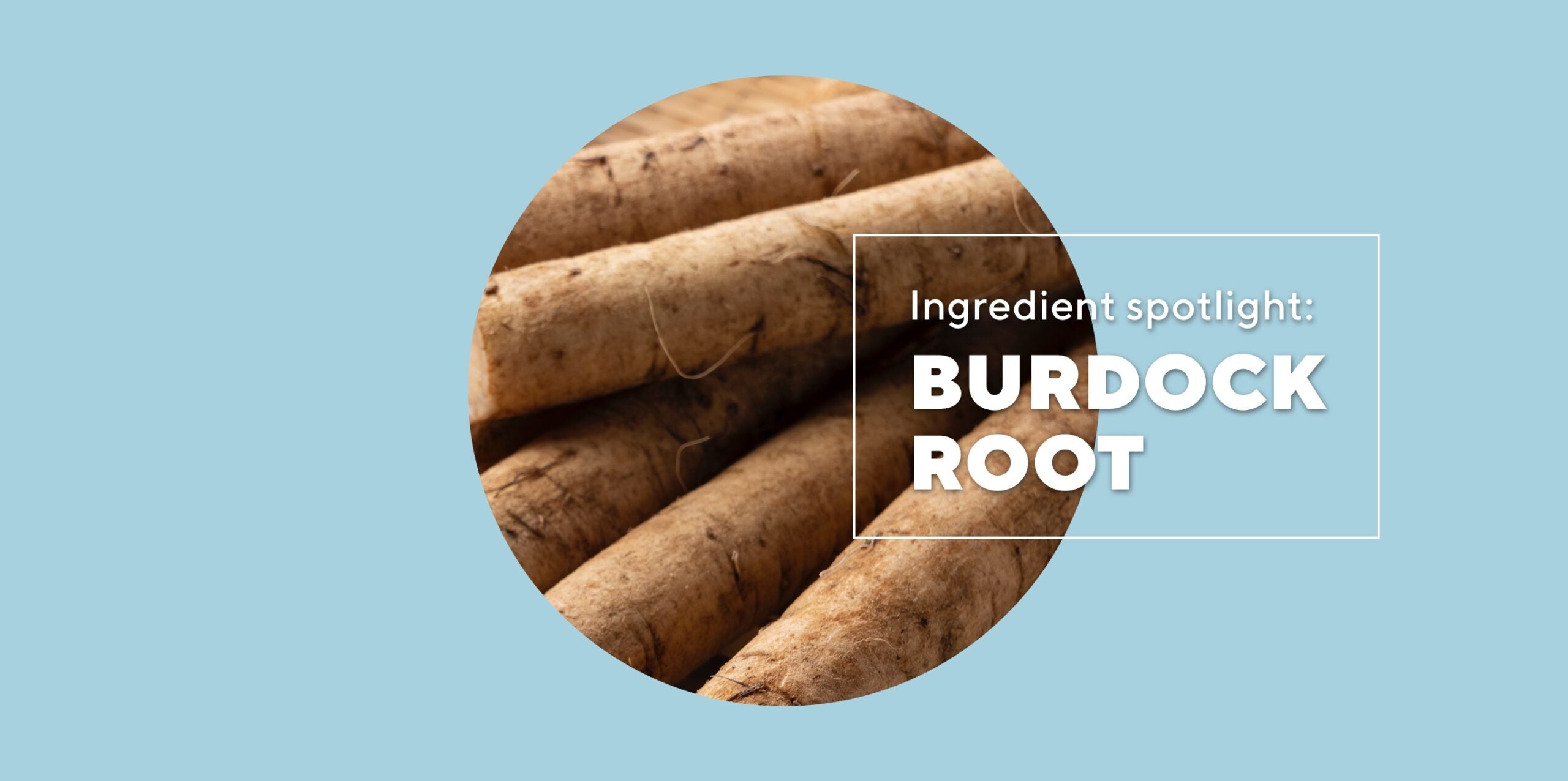 Ingestible skincare ingredient: Burdock root benefits—the natural solution for everything from digestion to a clearer complexion?