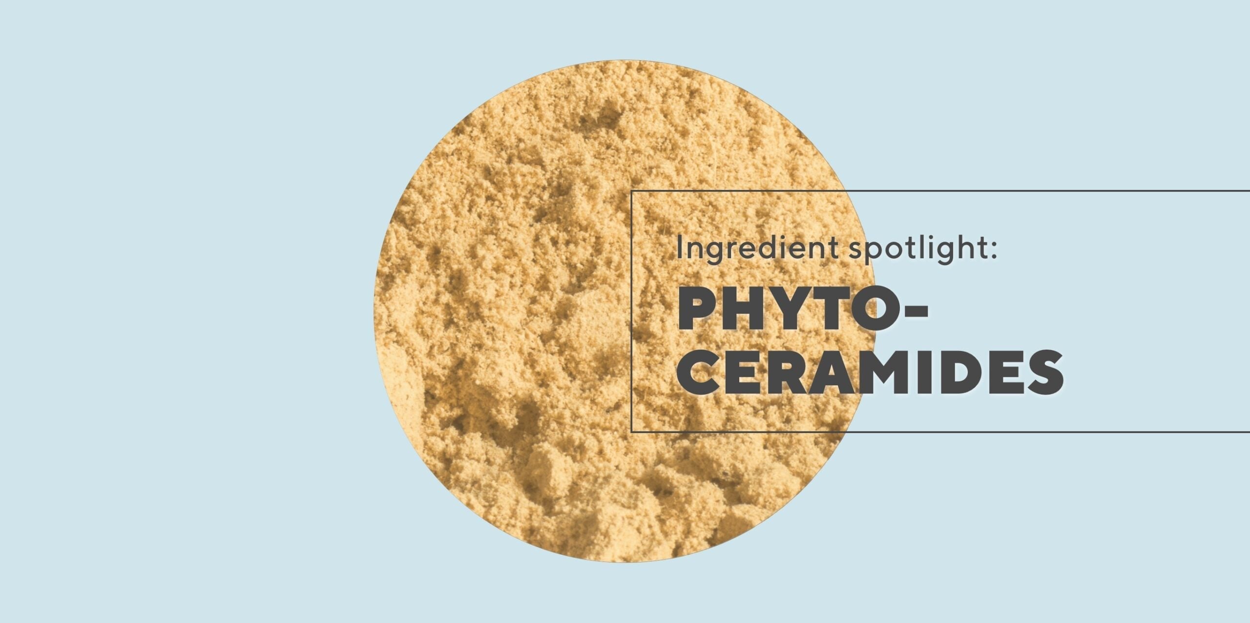 Ingestible skincare ingredient: Phytoceramides—are they a 'facelift in a bottle' and the secret to radiant, firmer skin from the inside out?