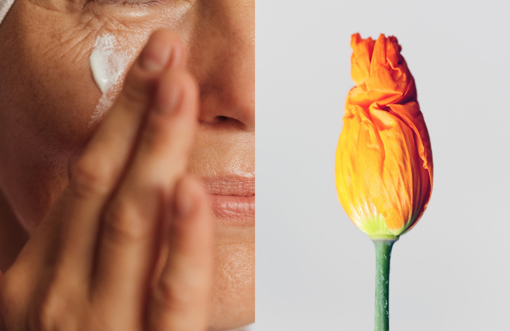 Menopause skincare: Gimmicky or great? An expert weighs in