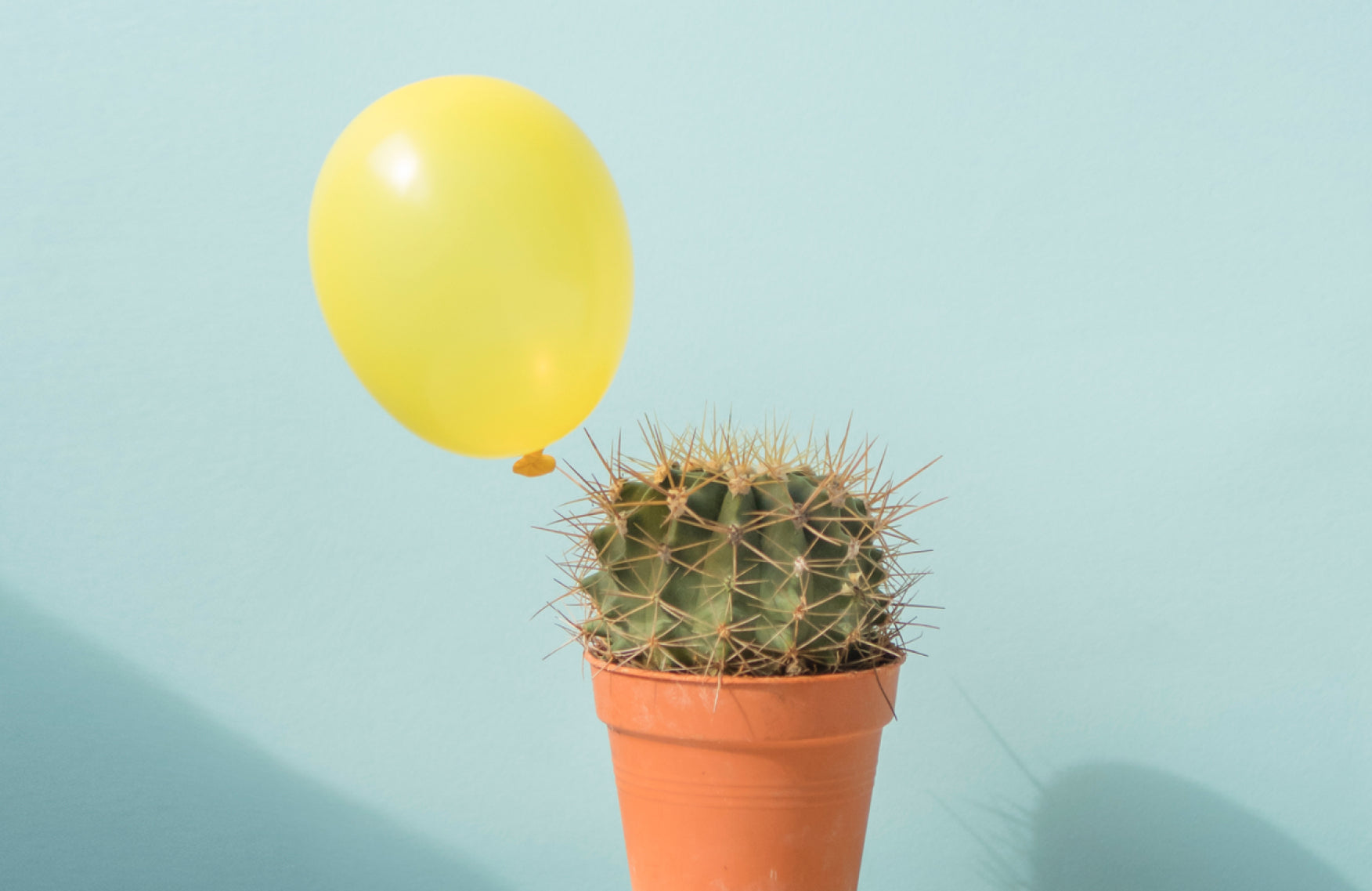 Pimple picking and popping 101: Here's what you need to know
