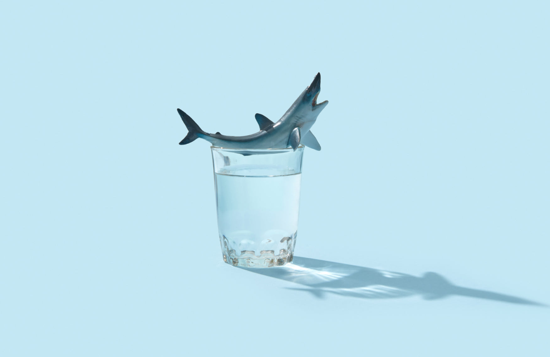 Skincare, squalane and...sharks? Surprising facts about this buzzy ingredient