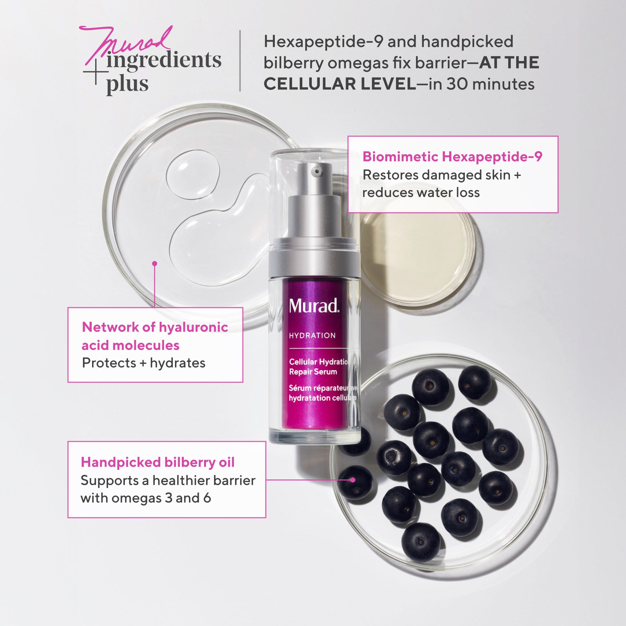 Hexapeptide-9 and handpicked bilberry omegas fix barrier at the cellular level in 30 minutes
